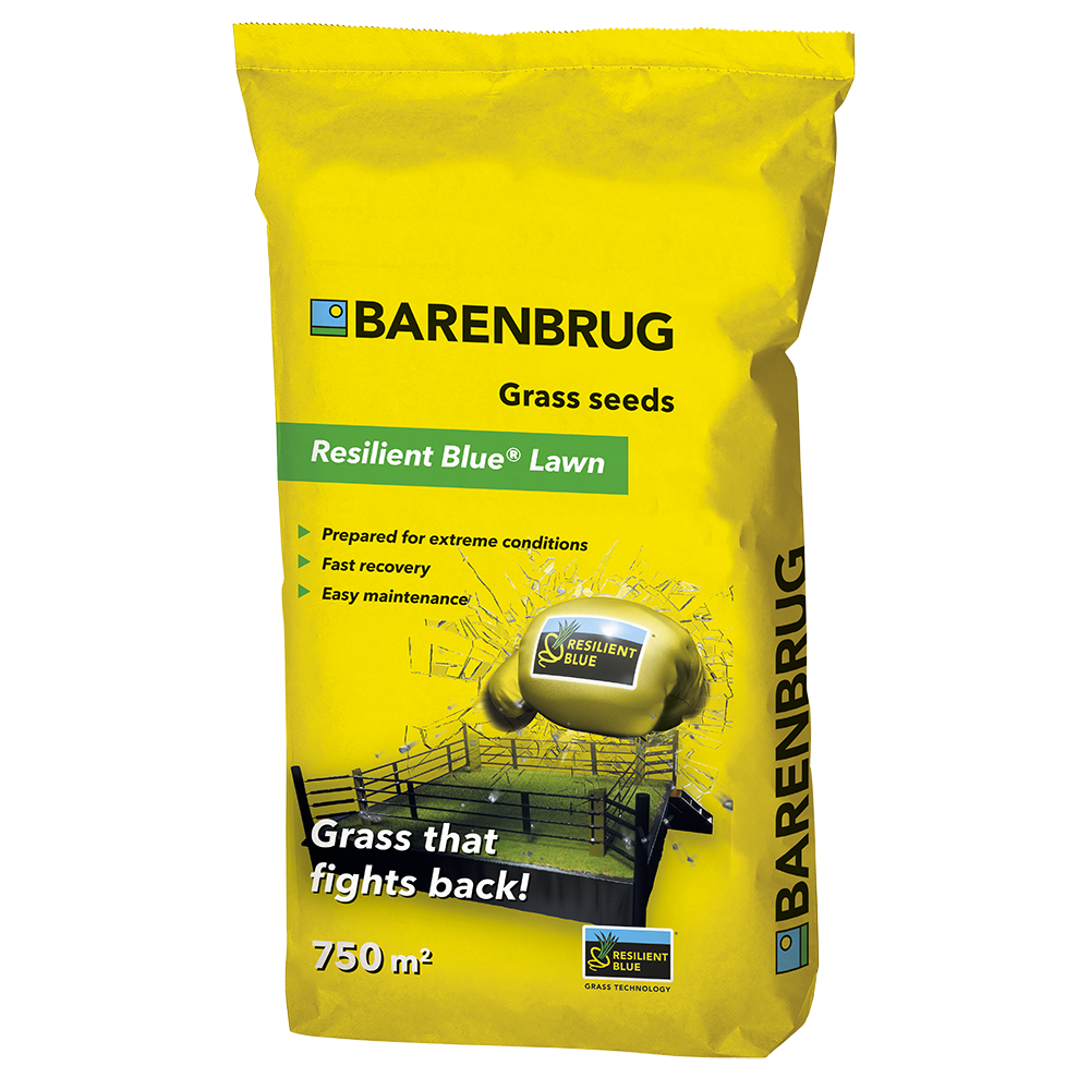 Barenbrug Resilient Blue Lawn