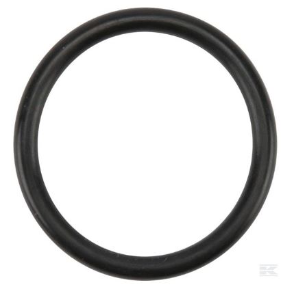 Birchmeier O-Ring 31,34X3,53