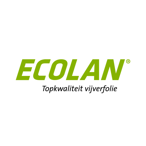 no-image_20240610141107299