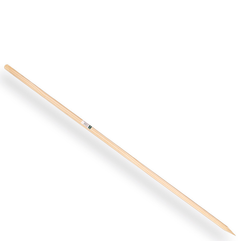 Steel voor berkenbezem