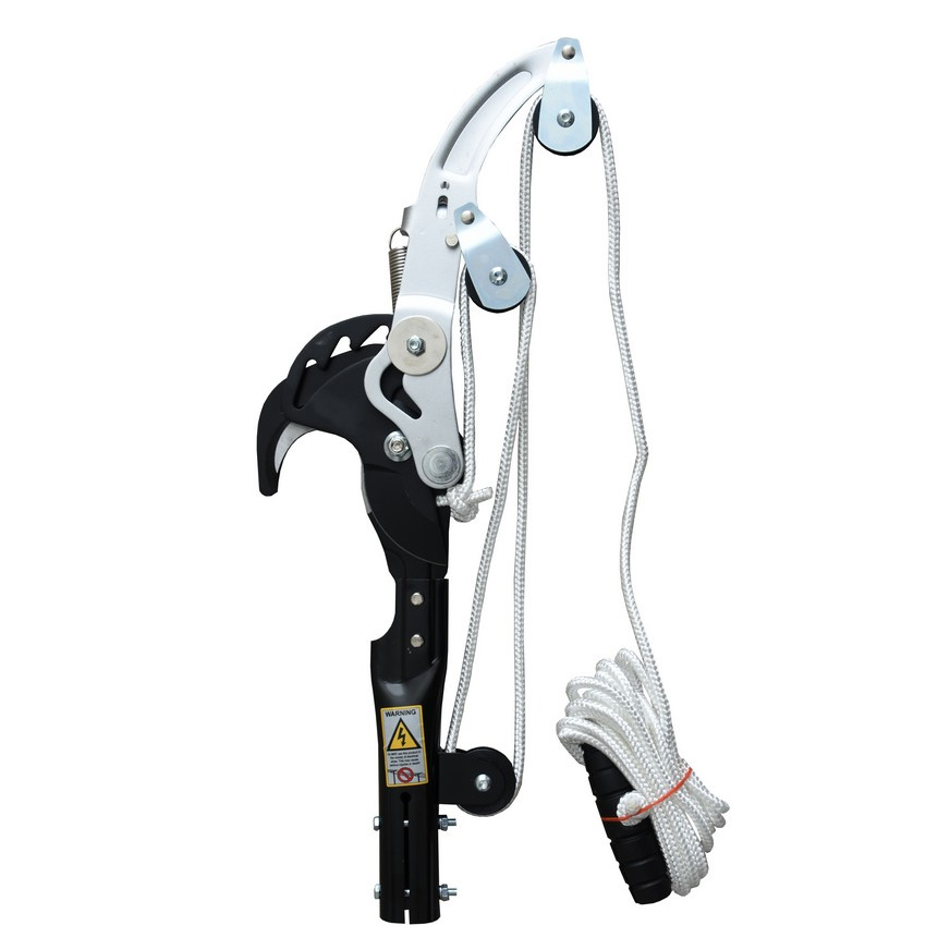 Silky rupsenschaar Sintung