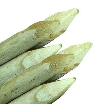 Palen onbehandeld (geschild en gepunt)