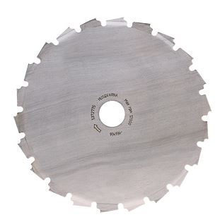 Bosmaaiermes Scarlett