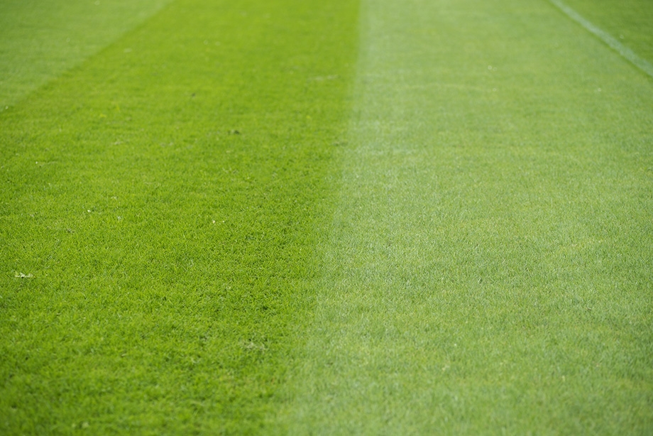 Mooie projecten bij Betaald Voetbal Clubs