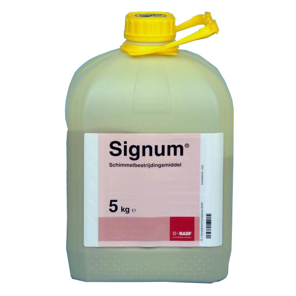 Signum