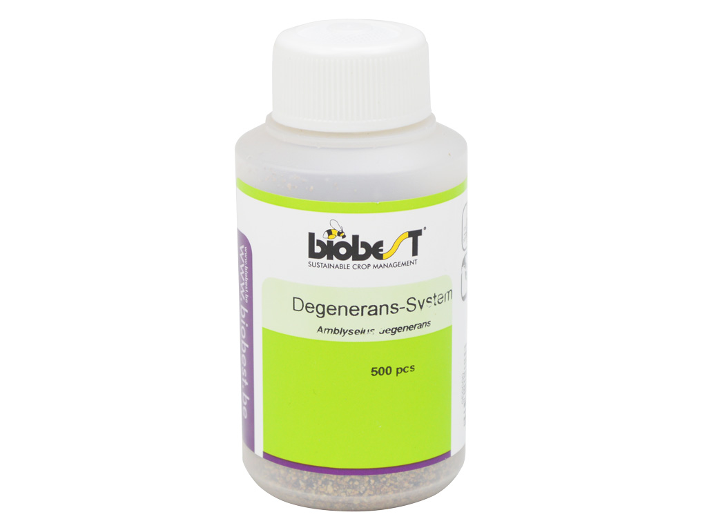 Degenerans Amblyseius