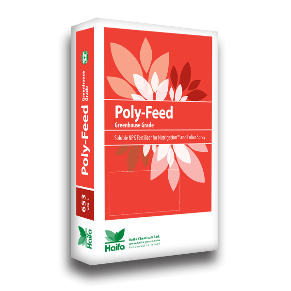 Polyfeed Ballade