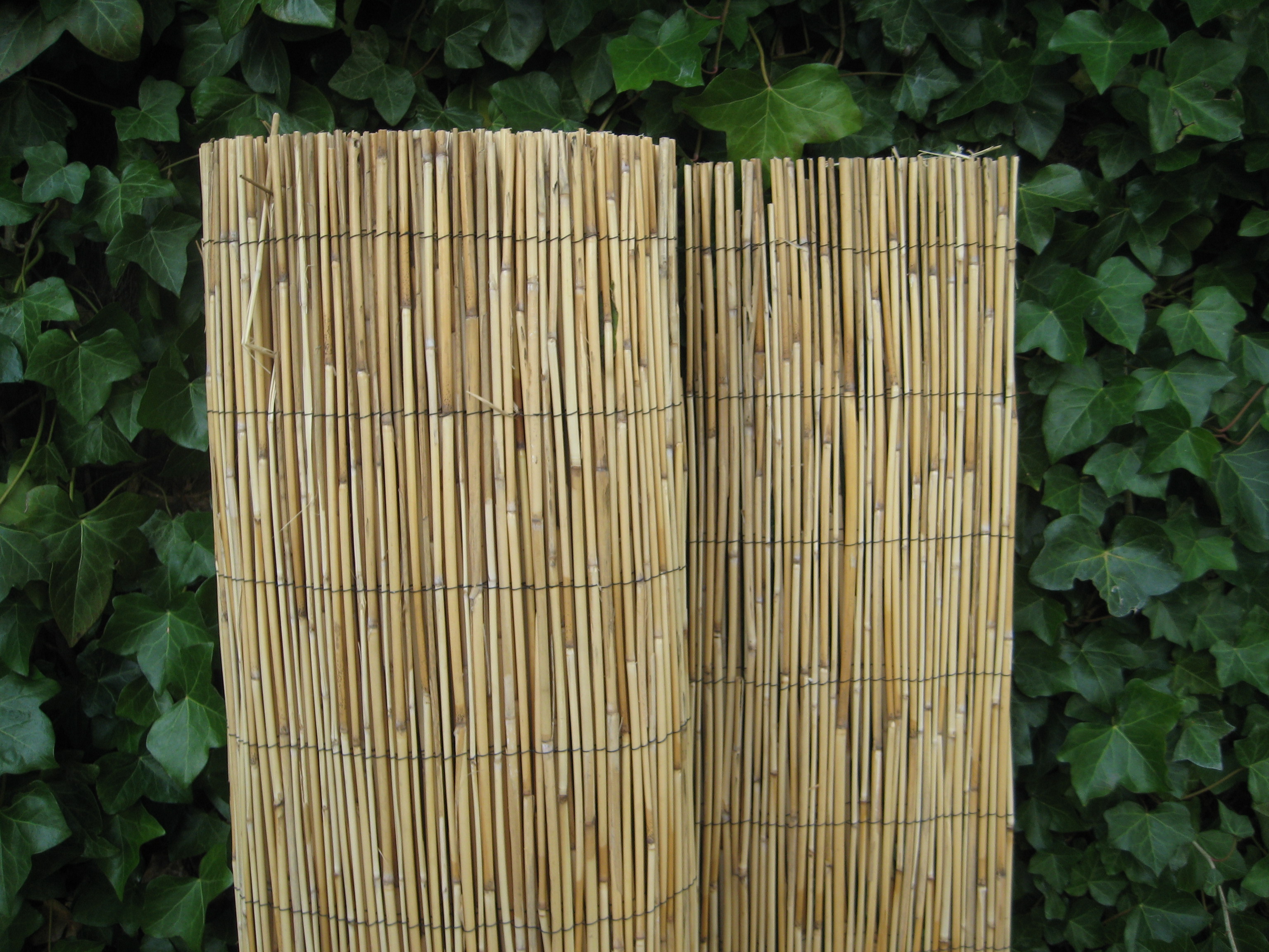 Tonkinmatten 500 cm (dikte 8mm)