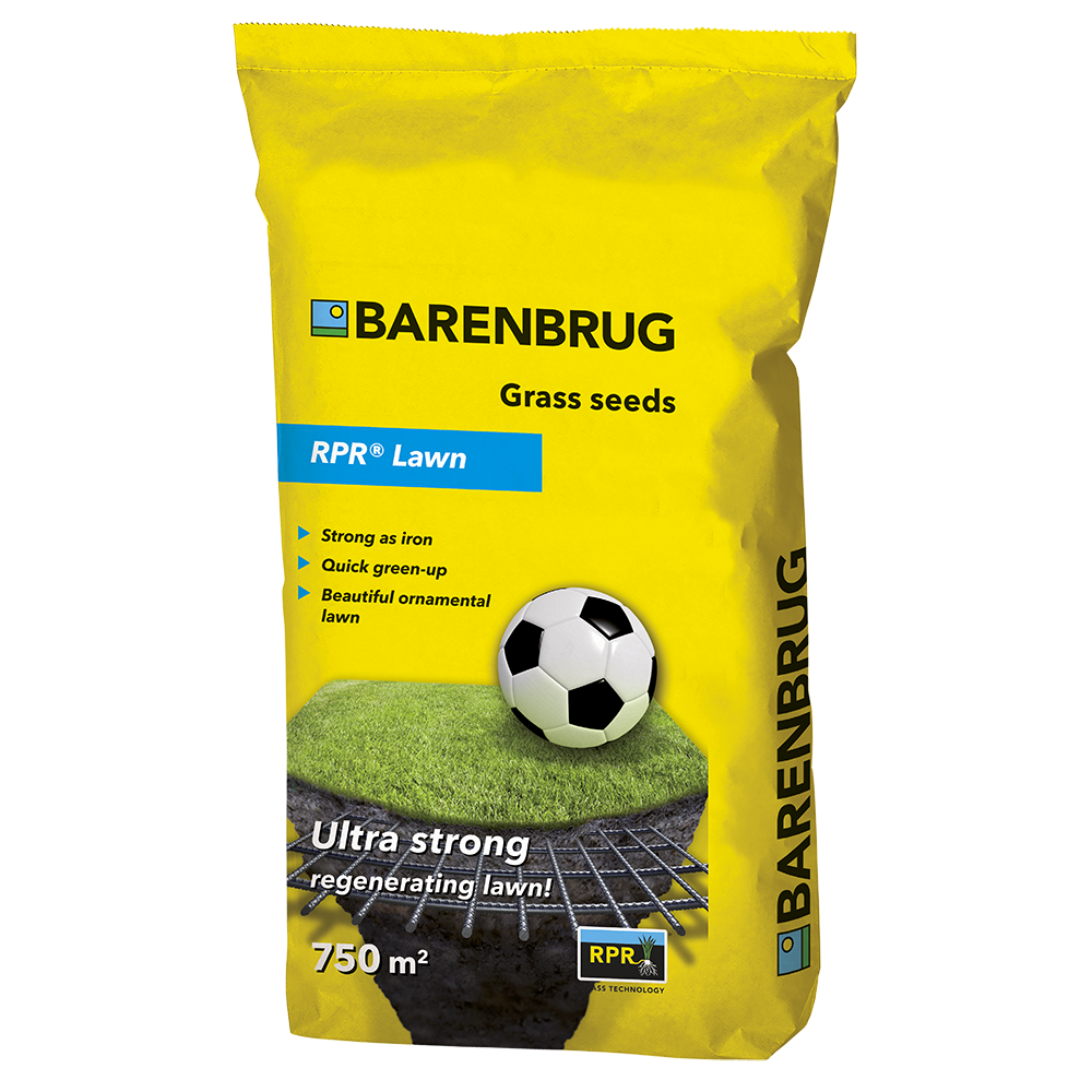 Barenbrug RPR Lawn