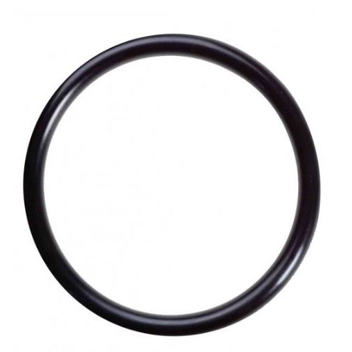 Lowara O-ring pomph. D247,02x5,33