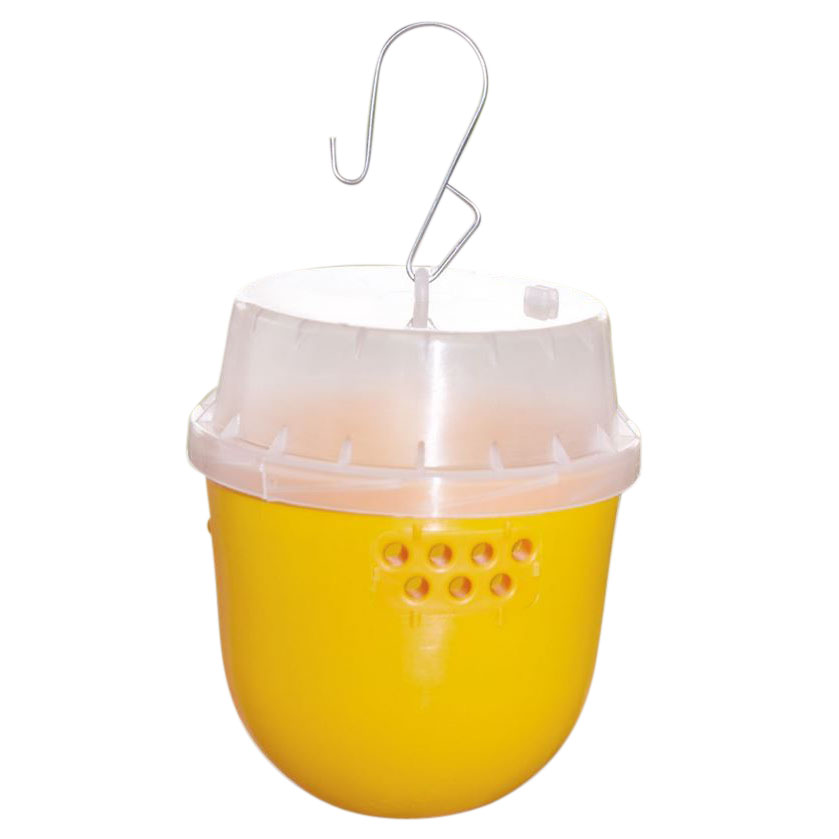 Val Drosophila suzukii