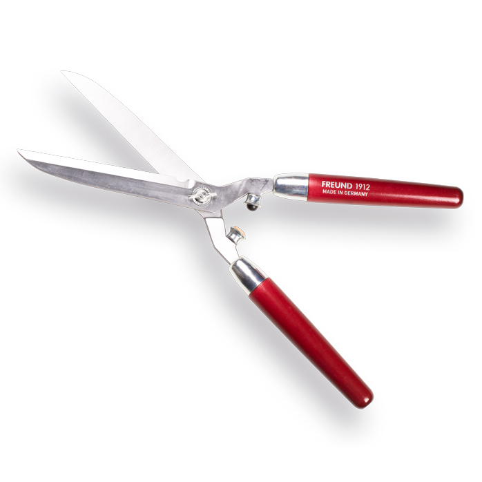 Freund heggenscharen recht blad