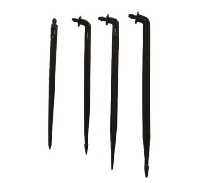 Rapiersteker kameleon zwart