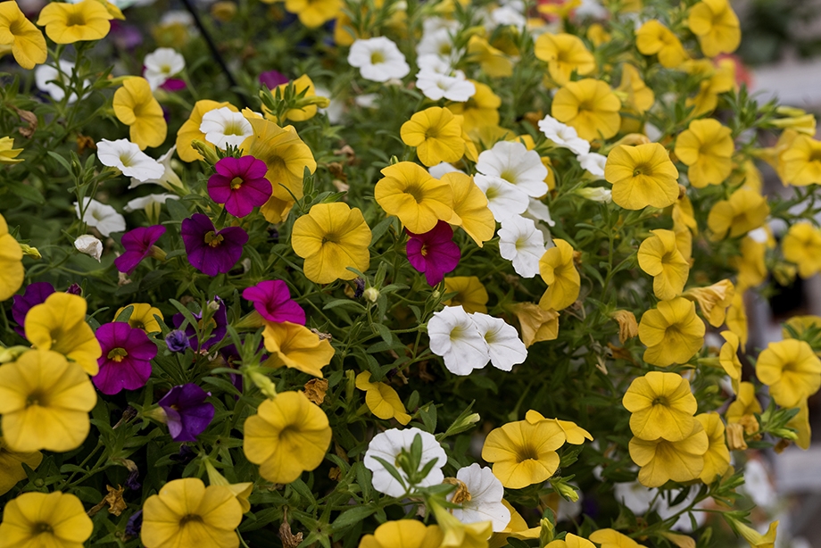 Kijkje achter de schermen