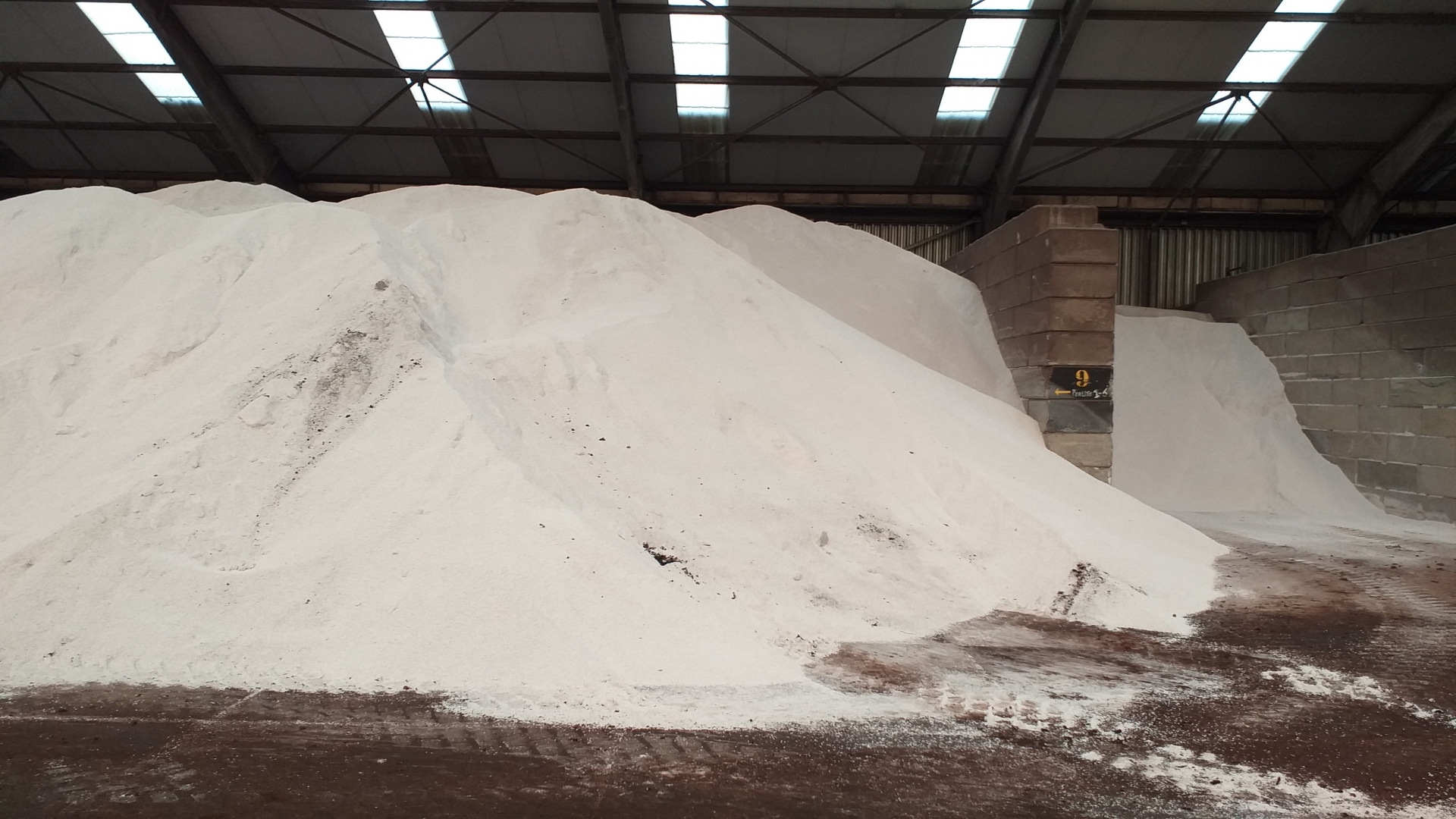 bvb-substrates-bezoek-2_20200228143910290