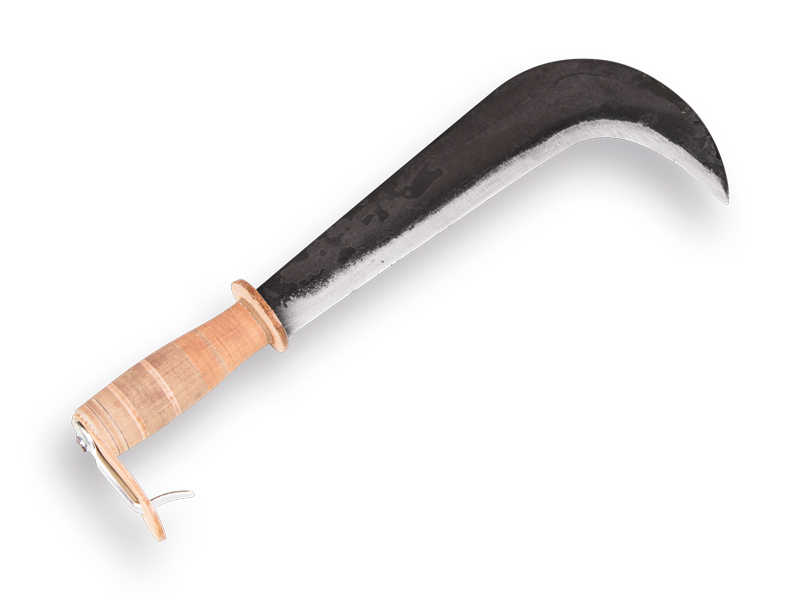 Kapmes Zwitsers model