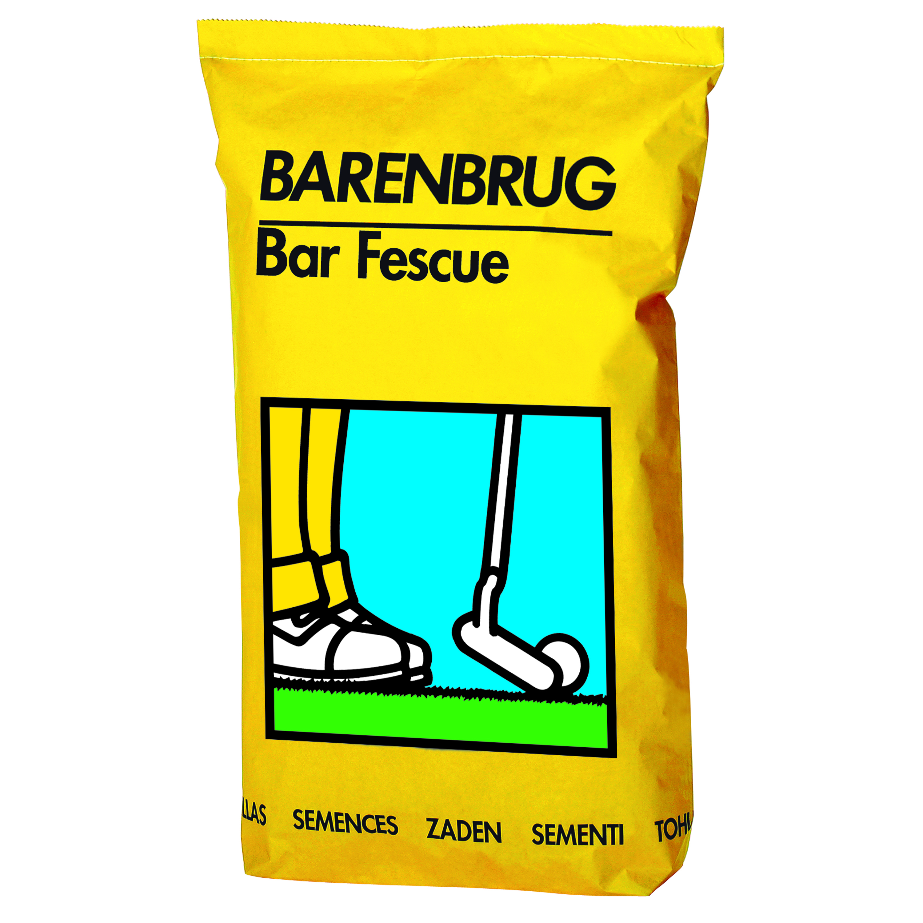 Barenbrug Bar Fescue