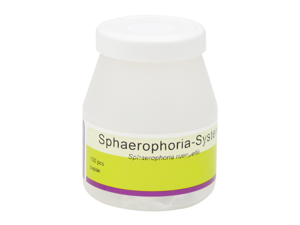 Sphaerophoria S100