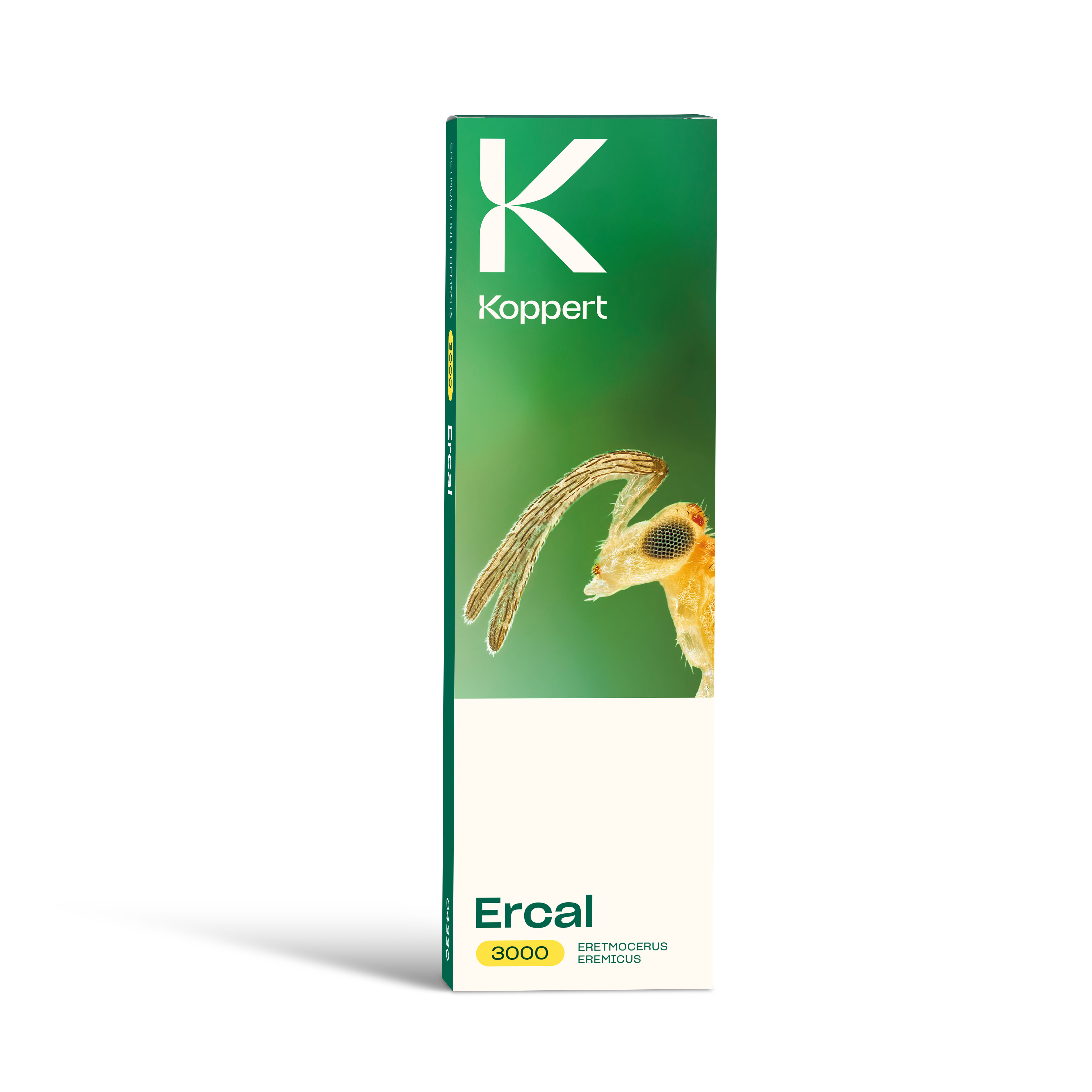 Ercal
