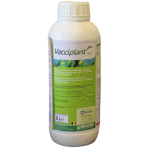 Vacciplant