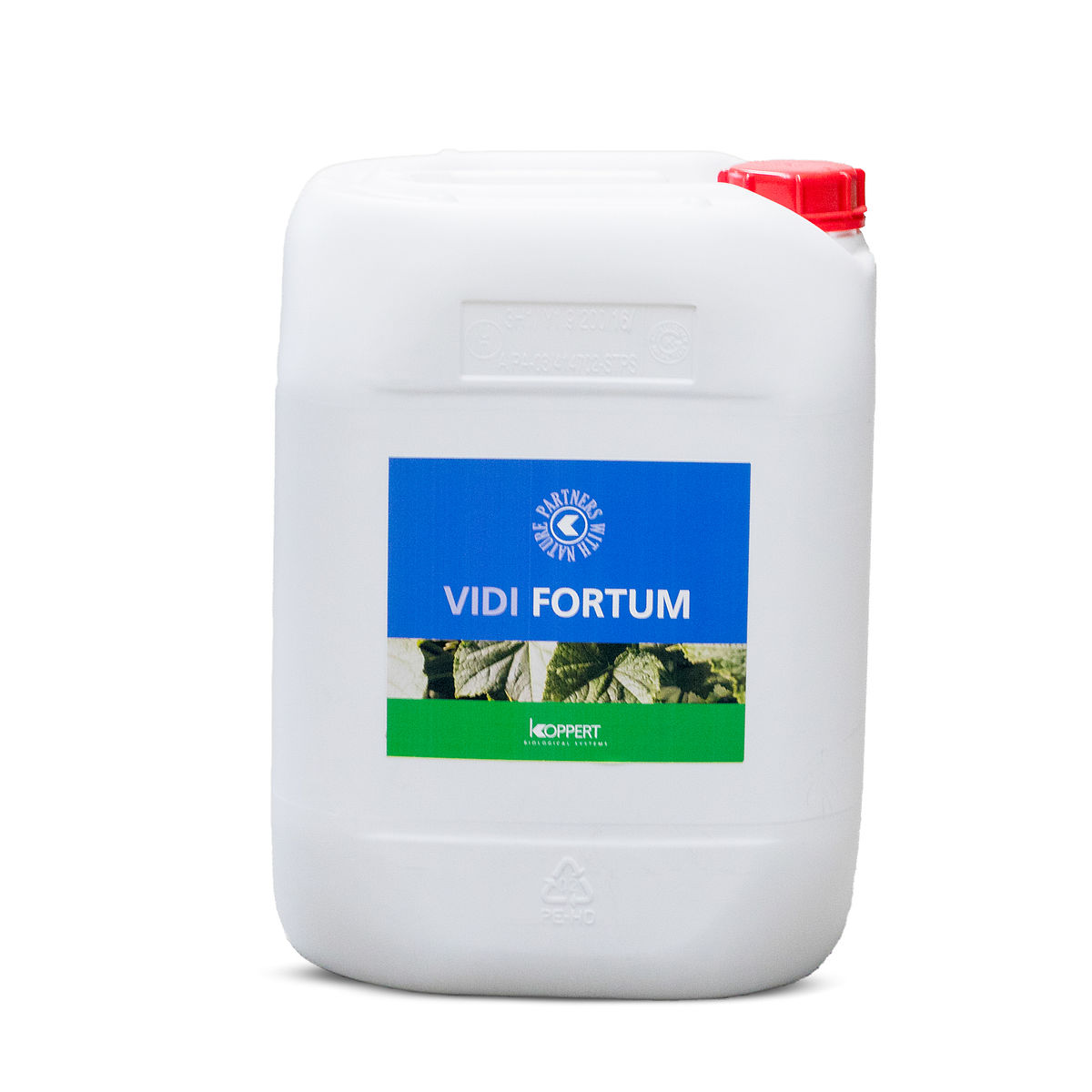 Vidi Fortum