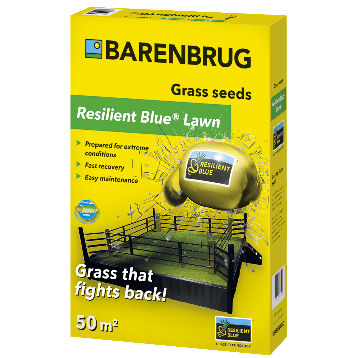 Barenbrug Resilient Blue Lawn