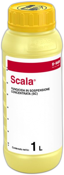 Scala