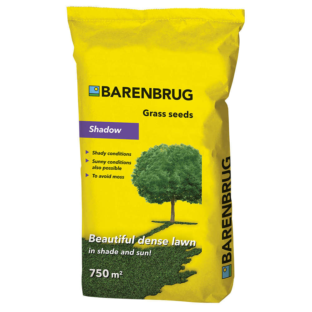 Barenbrug Shadow