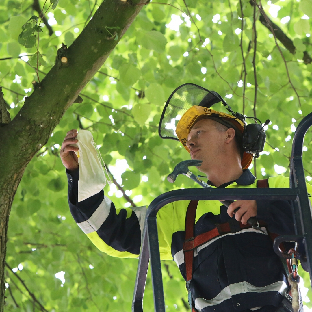 Natuurlijke oplossing voor bladluis