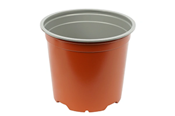 Modiform Container 14cm/5gr