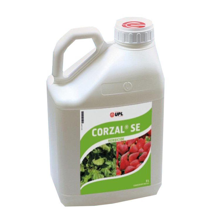 Corzal