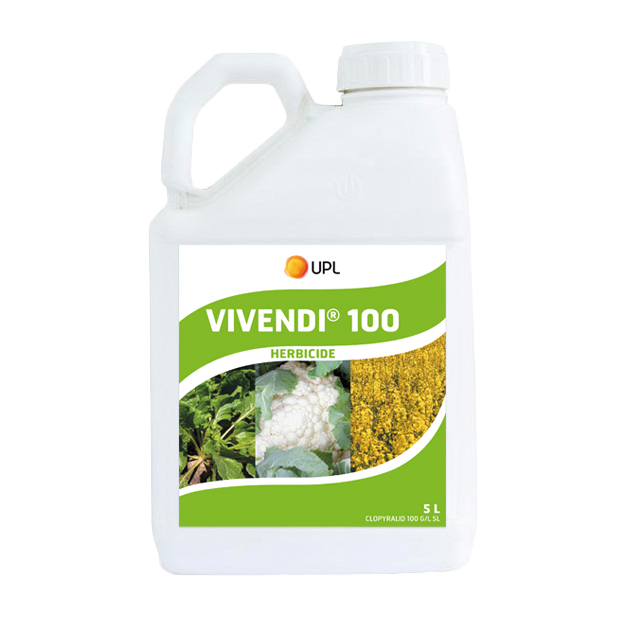 Vivendi 100