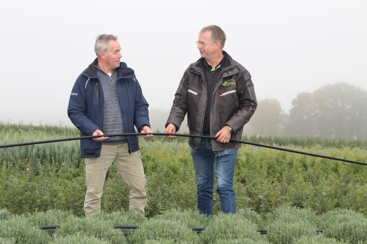 Druppelslangen bevallen Joost Sterke beter dan driptape