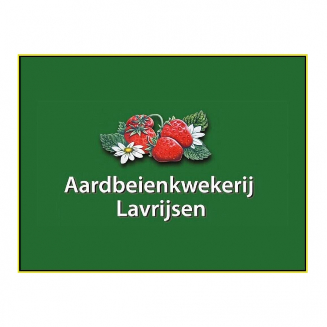 aardbeienkwekerij-lavrijsen_20250828093425377