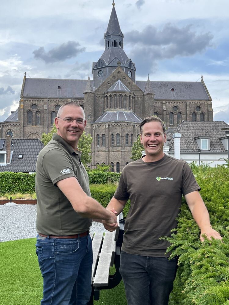 Bodem- en situatieanalyse redden taxus in diep trieste toestand