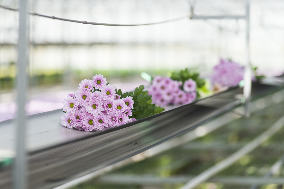 Ken jij deze tactiek al?