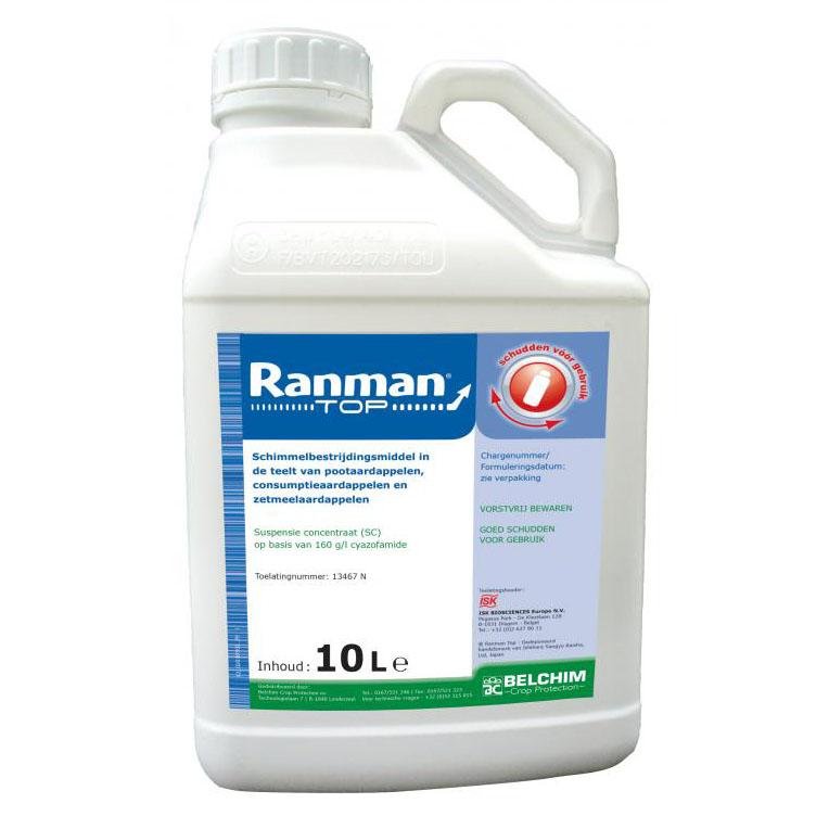 Ranman Top