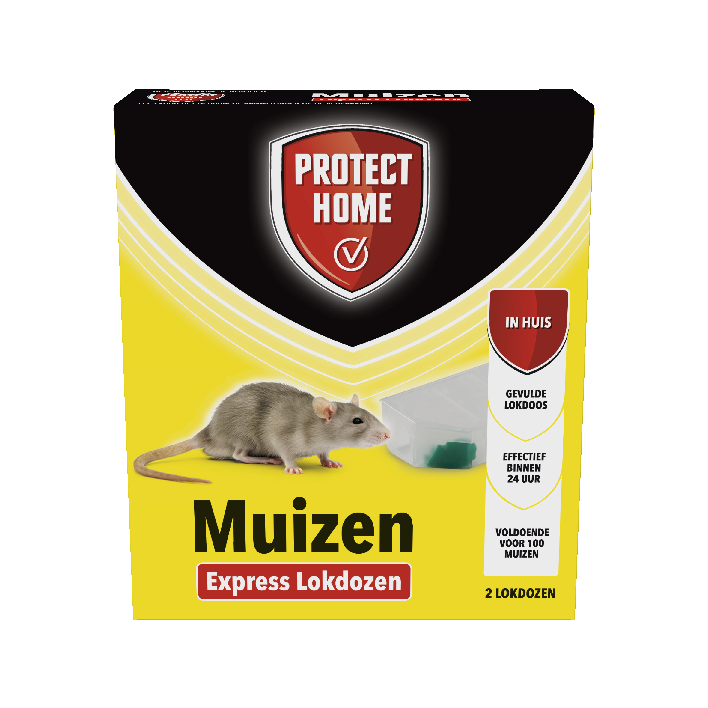 Protect Home Muizenval