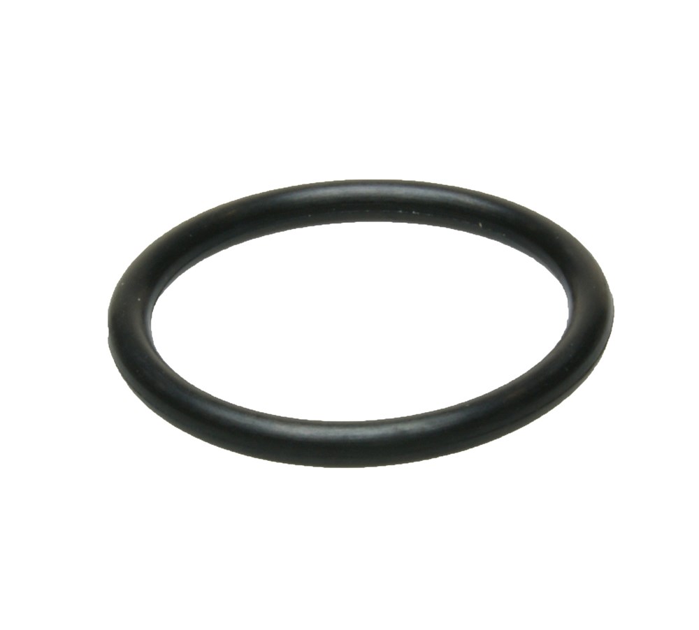 Birchmeier O-ring 23,47x2,62