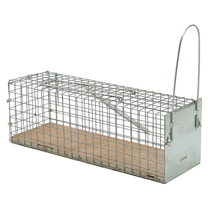Protect Home Vangkooi Ratten