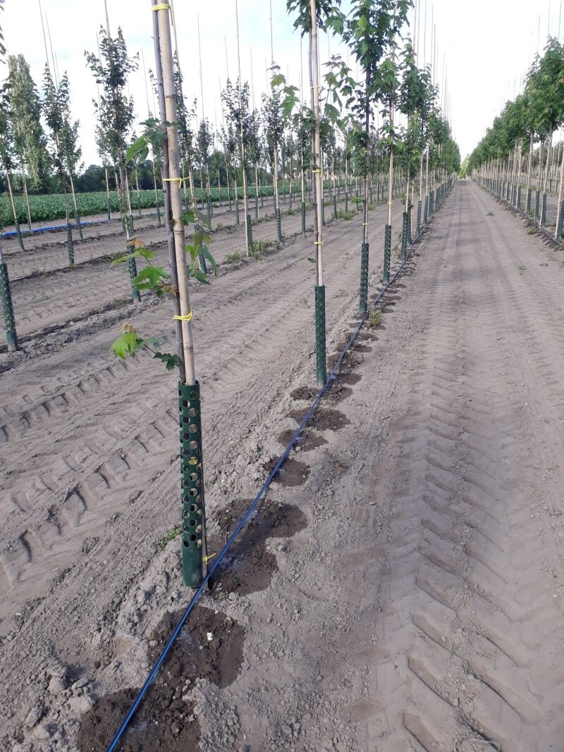 Kies voor druppelberegening en profiteer van de voordelen