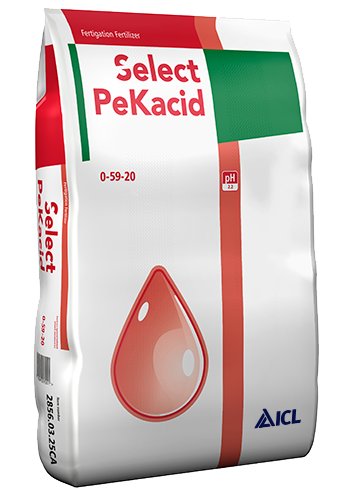 ICL PeKacid