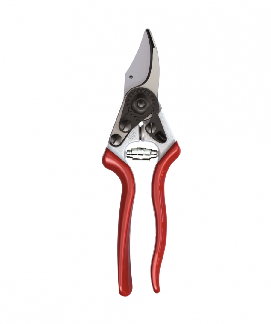 Felco 16 links model