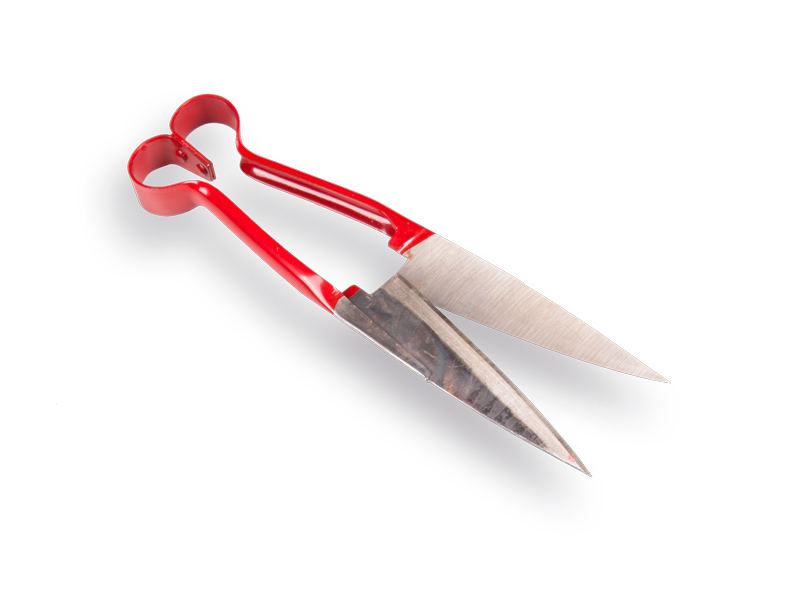 Schapenschaar (snoeischaar)